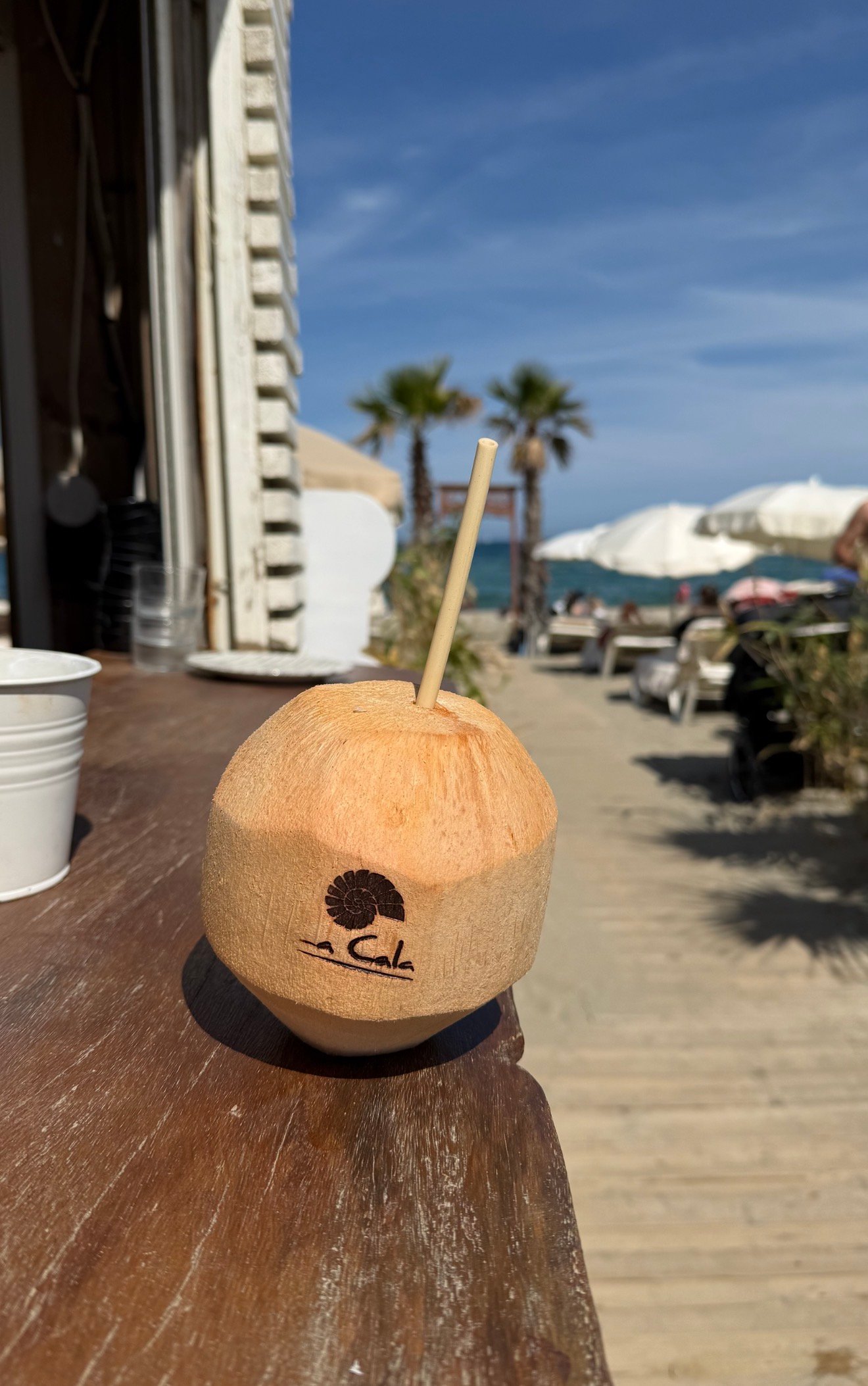 Noix de coco fraîche